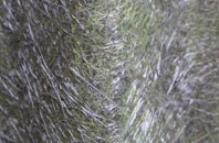 Farleigh Hungerford fibreglass roof work